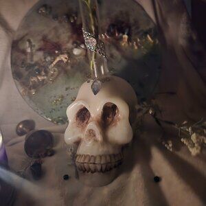 Skull propagation holder